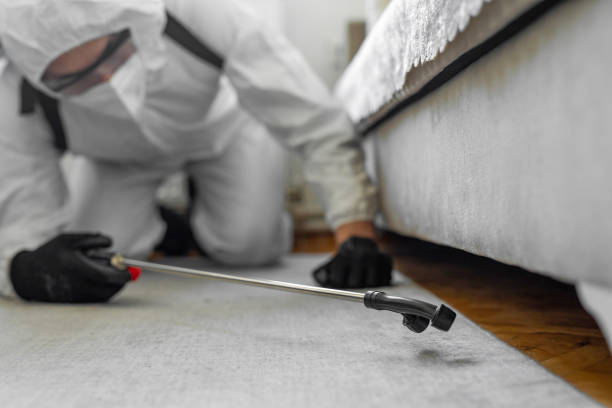 Professional Emergency Pest Control technician working in East Alton, IL