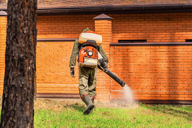Trusted Mosquito Control service in East Alton, IL - Nex Pest Control